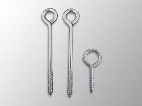 點(diǎn)擊查看詳細(xì)信息<br>標(biāo)題：Eye Bolt 閱讀次數(shù)：1162