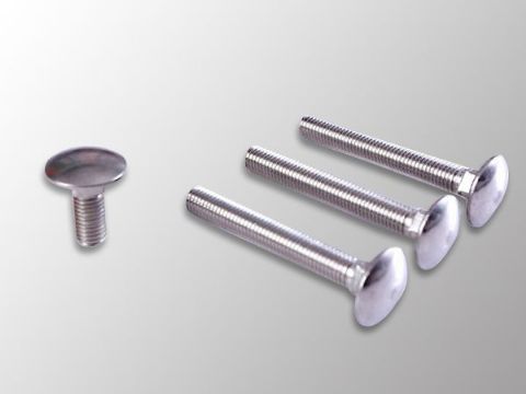 點(diǎn)擊查看詳細(xì)信息<br>標(biāo)題：Carriage Bolt 閱讀次數(shù)：1272