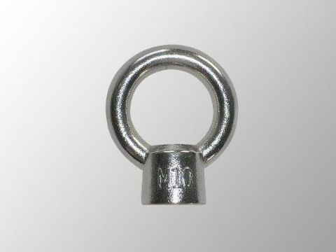 點(diǎn)擊查看詳細(xì)信息<br>標(biāo)題：Eye Bolt 閱讀次數(shù)：1856