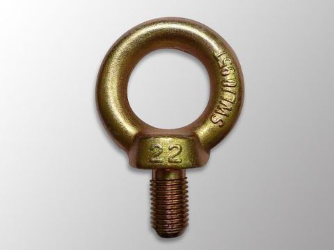 點擊查看詳細信息<br>標題：吊環(huán)螺栓DIN580 閱讀次數：1426