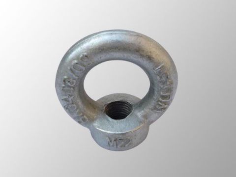 點(diǎn)擊查看詳細(xì)信息<br>標(biāo)題：吊環(huán)螺母 閱讀次數(shù)：2906